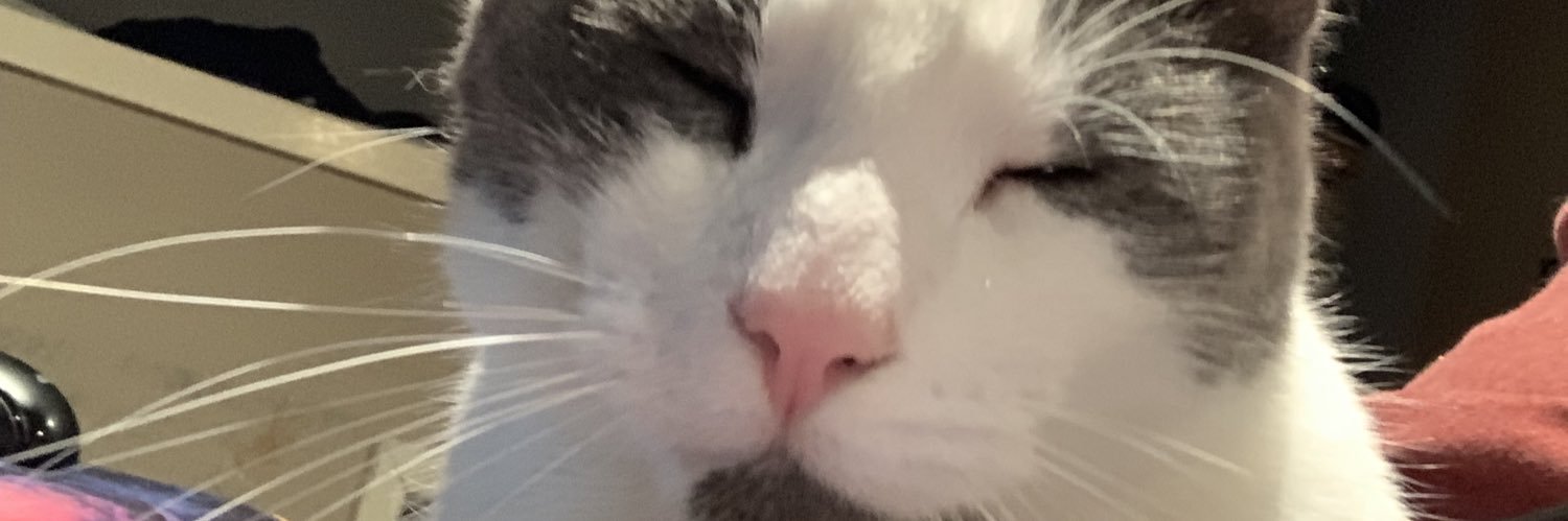 Chris Allen Hess banner