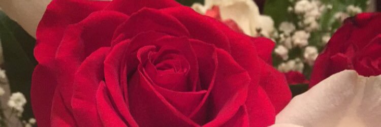 stinaa28's profile banner image