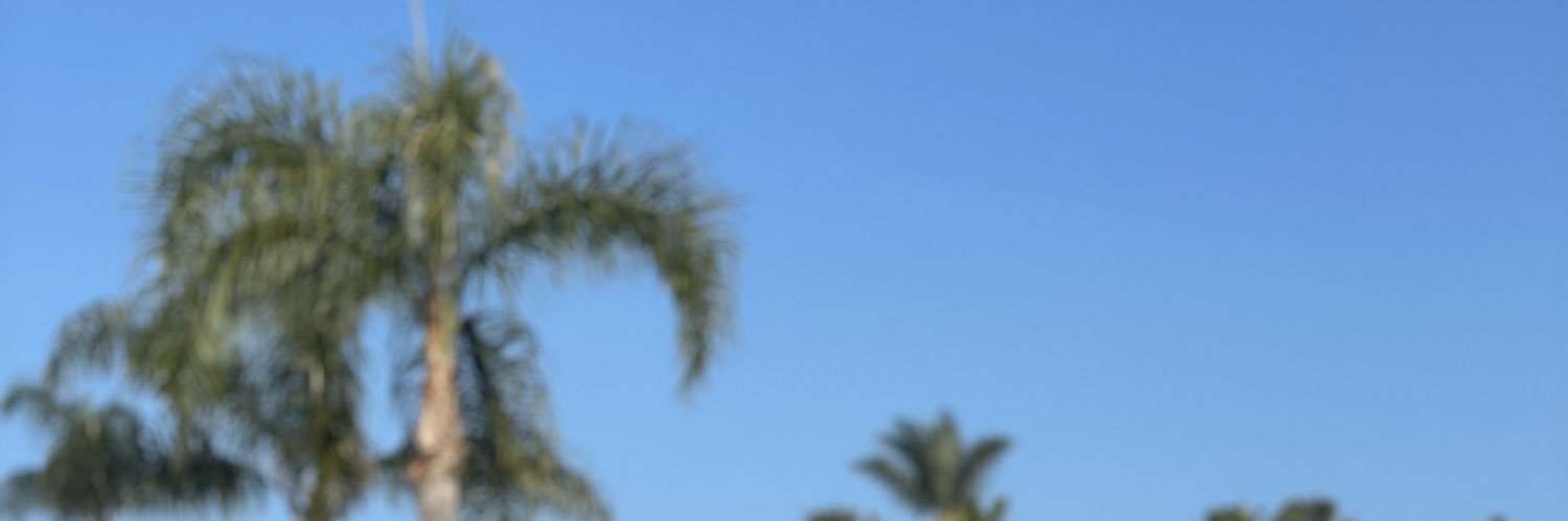 brooklynmijaa's profile banner image