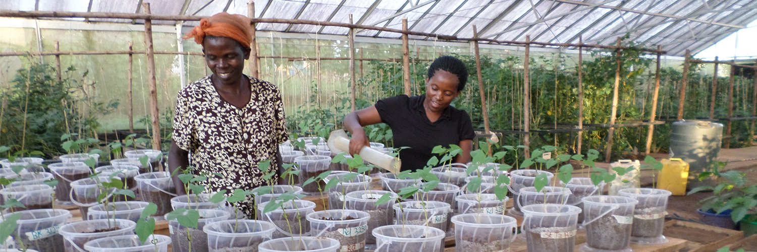 Legume Systems Research Innovation Lab banner