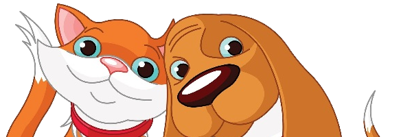 izmirhsever's profile banner image