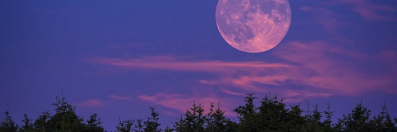 vvhtx's profile banner image