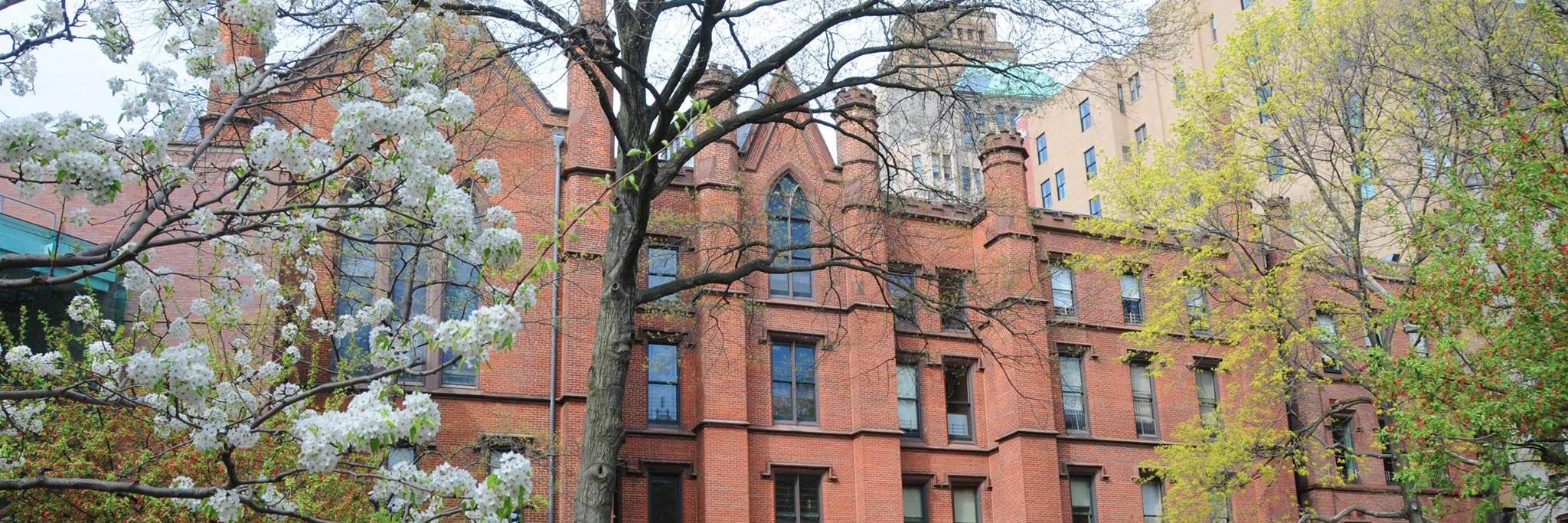 Packer Collegiate banner