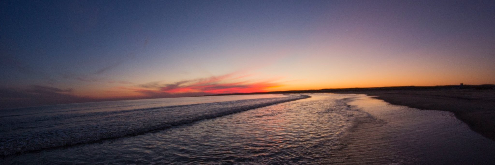 Milena D'Atri 💚 banner