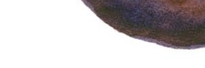 k2kotoki's profile banner image