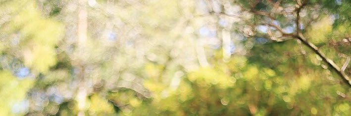 _collinsmaina's profile banner image