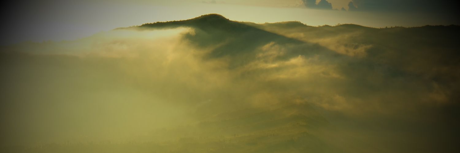 Bakemonotong's profile banner image
