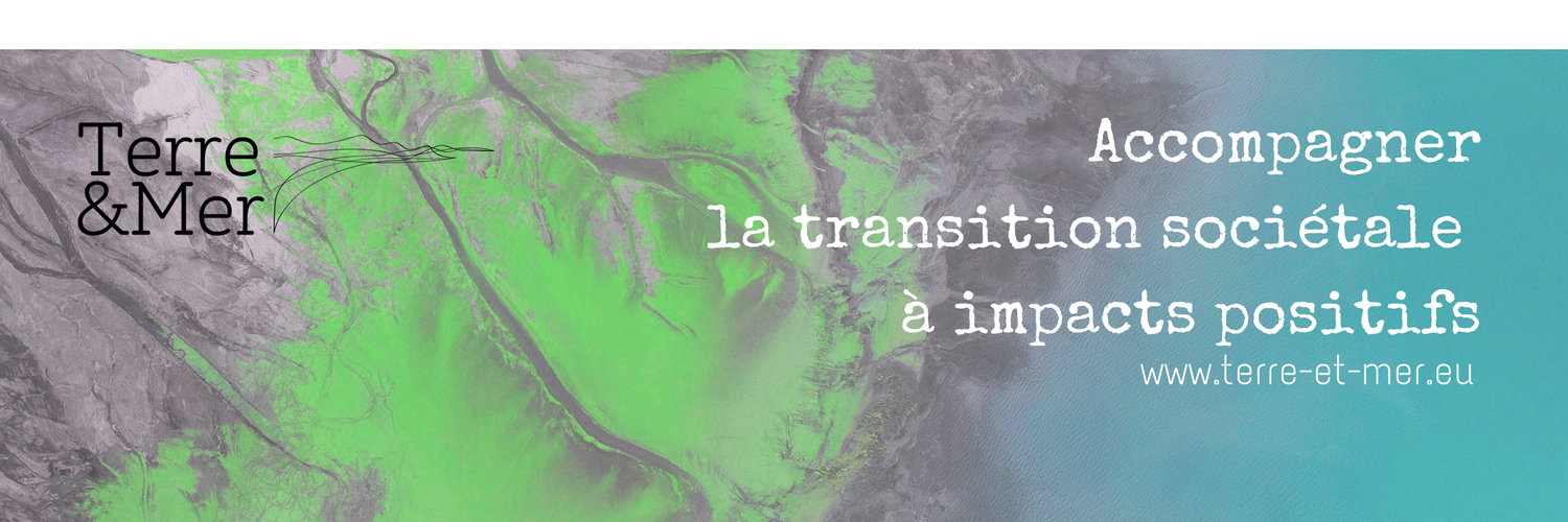 terremer56's profile banner image