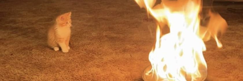 𝖕𝖊ñ𝖆 banner