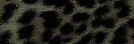 didiriena's profile banner image