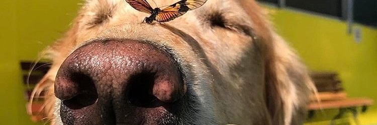 fiorettieli's profile banner image