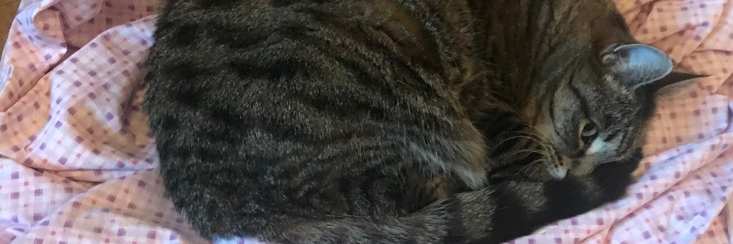 alanw100's profile banner image