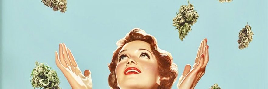 xvxixvxv's profile banner image