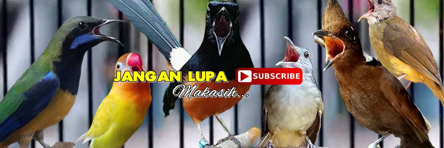 MasteranMurai's profile banner image