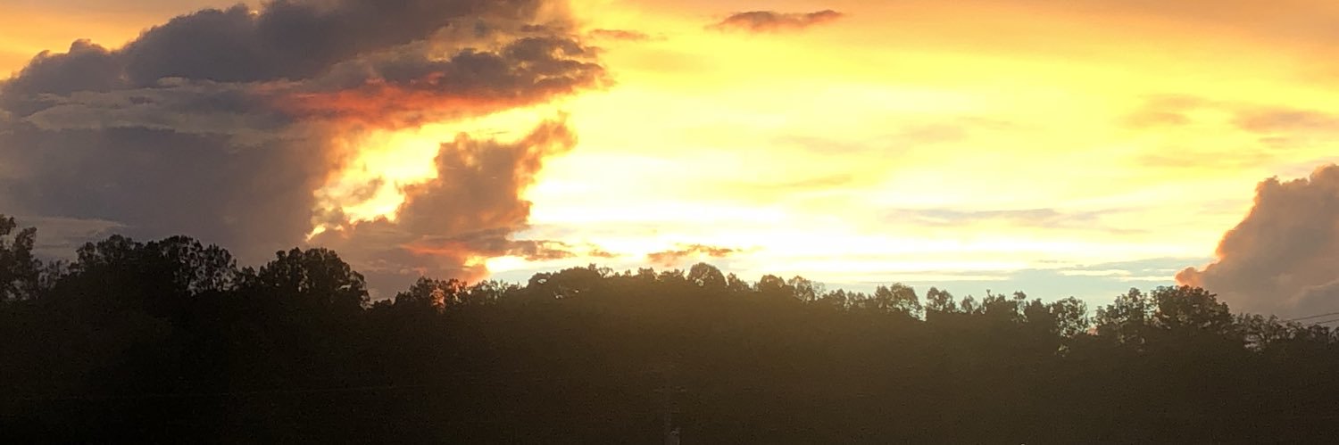 deedotscott's profile banner image