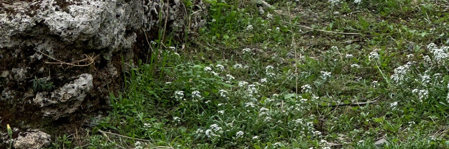 ดุ๊กๆ 𝘱𝘶𝘬𝘢 banner