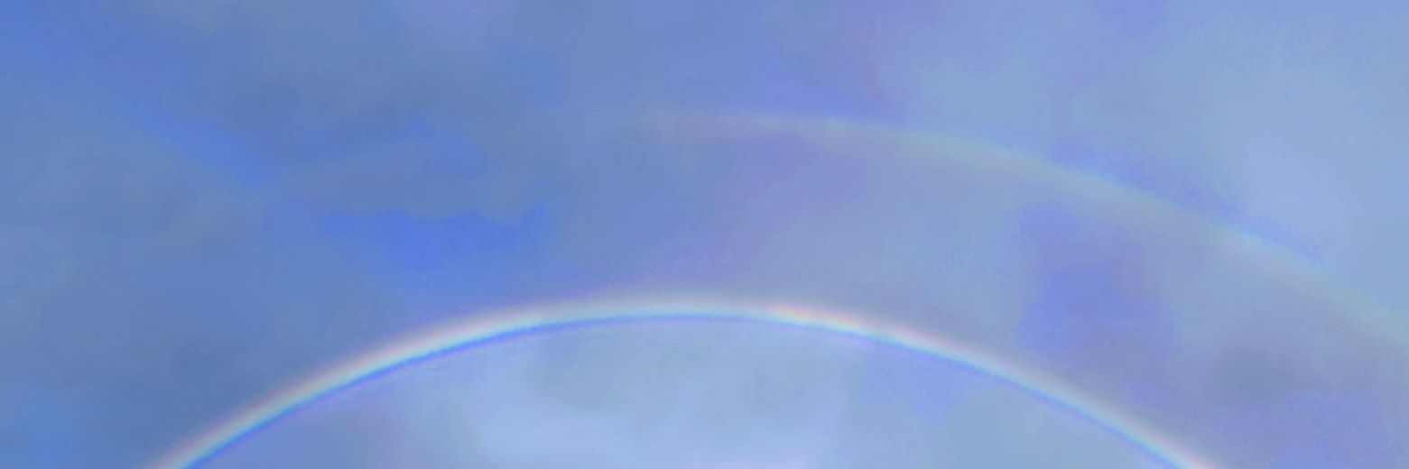 spydrbite's profile banner image