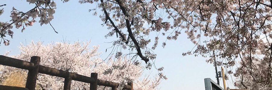 り banner