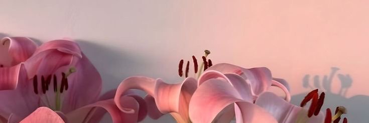 Danye_xo's profile banner image