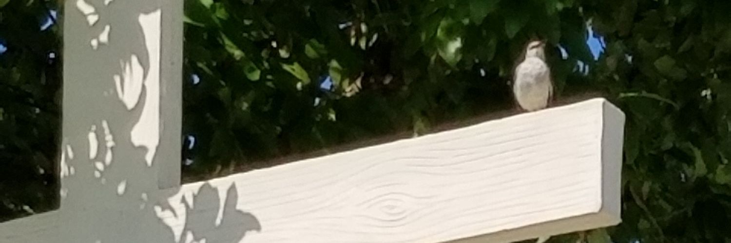 flavy444's profile banner image