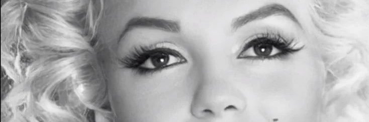 breyhoneysuckle's profile banner image