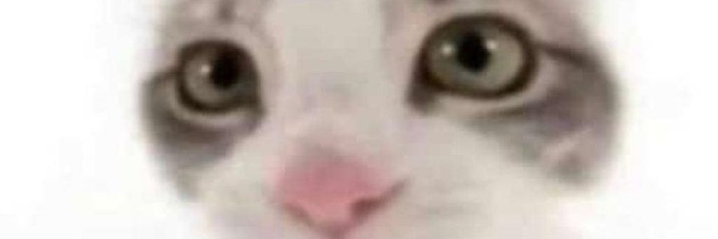 so_pipiu's profile banner image