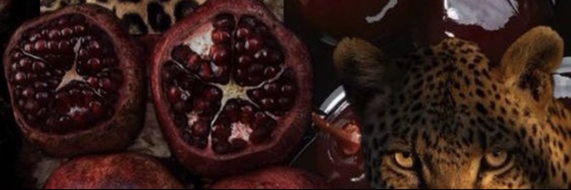 offc_carley's profile banner image