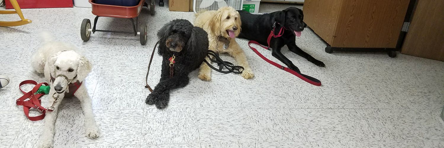 4 Paws 2 Freedom banner