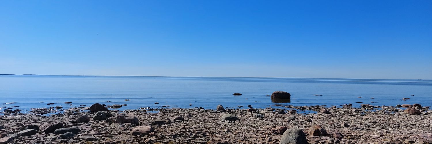 Suokallio's profile banner image