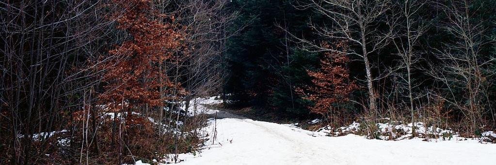 cmjnrvb's profile banner image