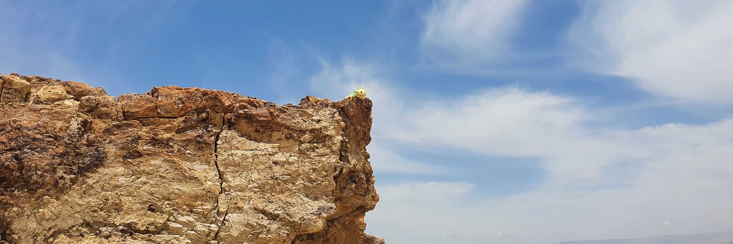 Dror Bereznitsky banner