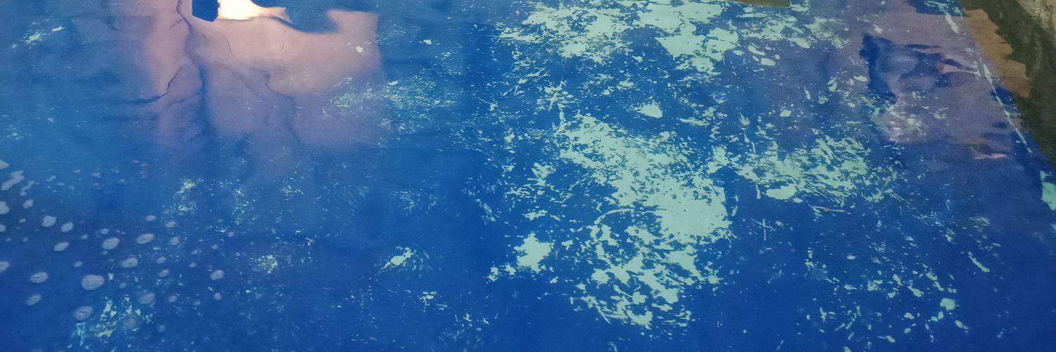 V20Dendi's profile banner image