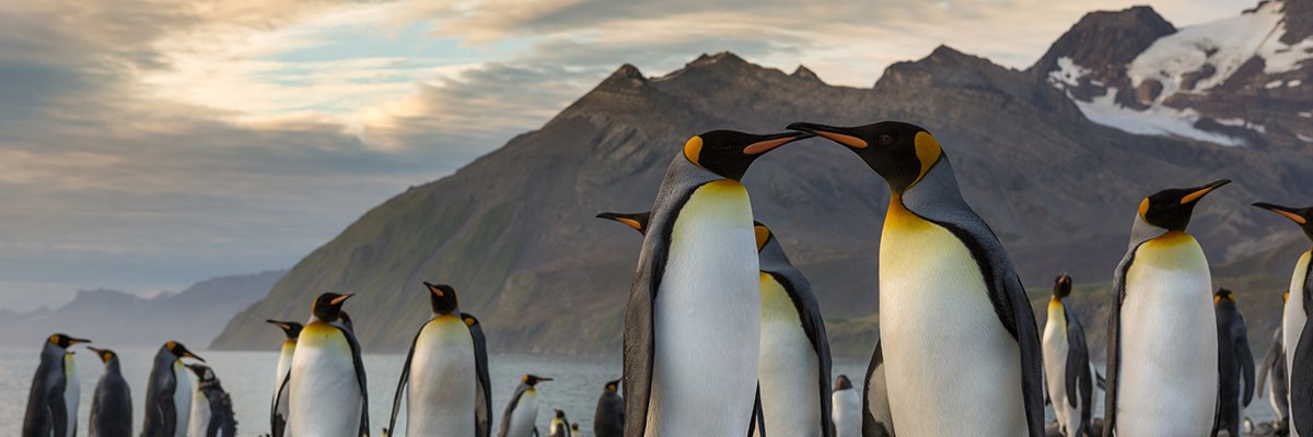 OneOceanExpeditions banner