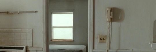 ✿ banner