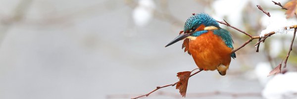 LeeValleyPark Profile Banner