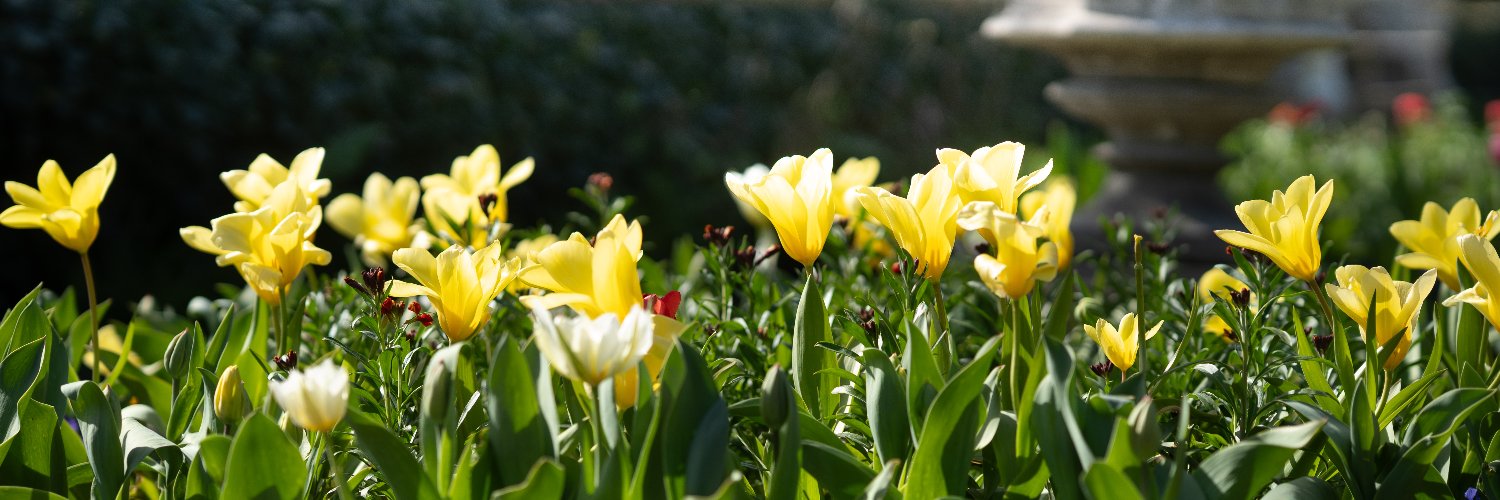 Lee Valley Park banner