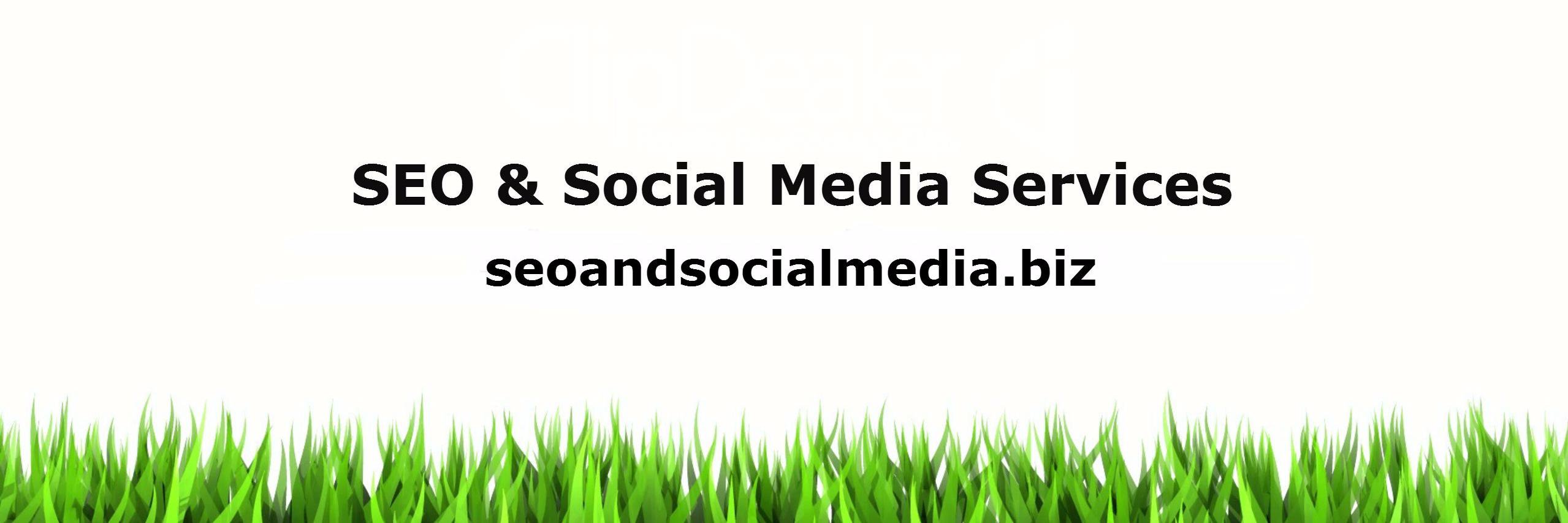 Whyseoservicess's profile banner image