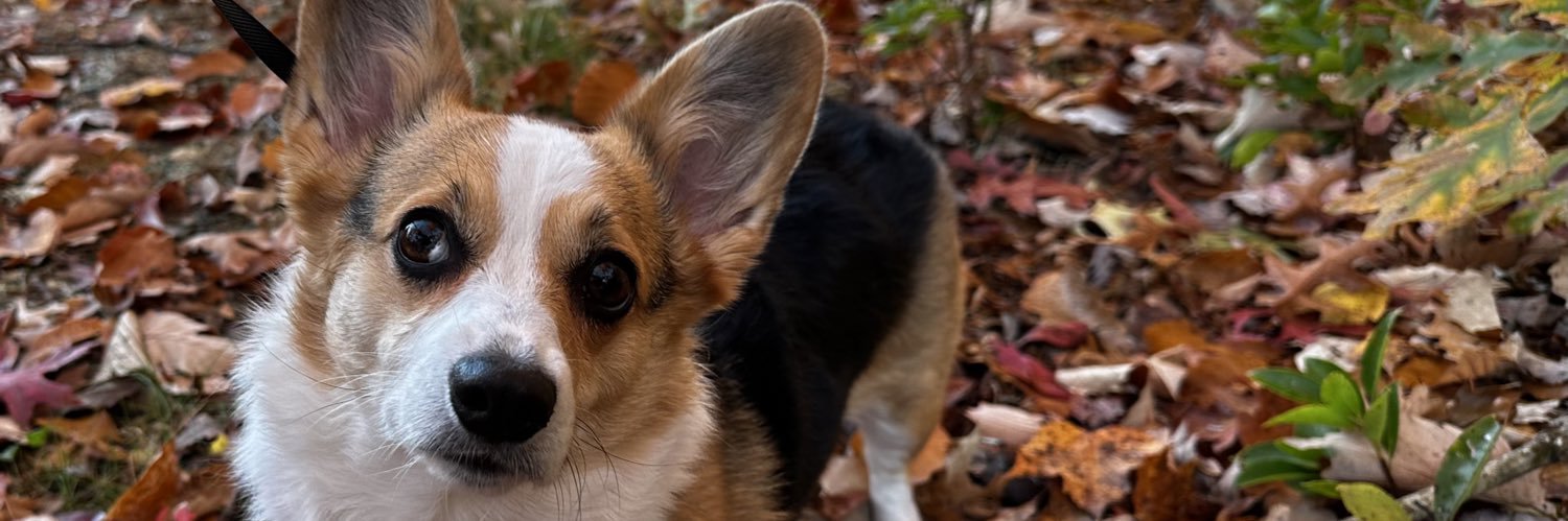 Victoria Miller banner