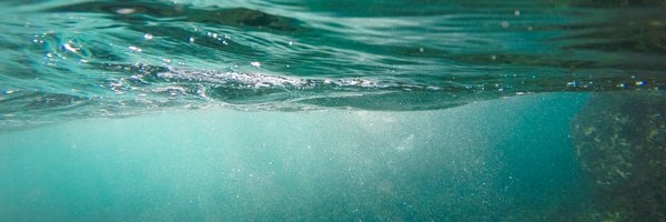 lauralaureta Profile Banner