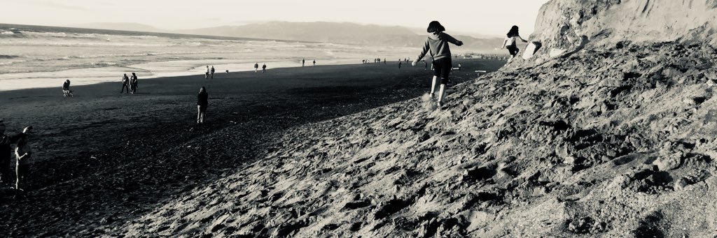 Suellen Lee banner