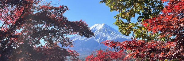 nilalbiol Profile Banner