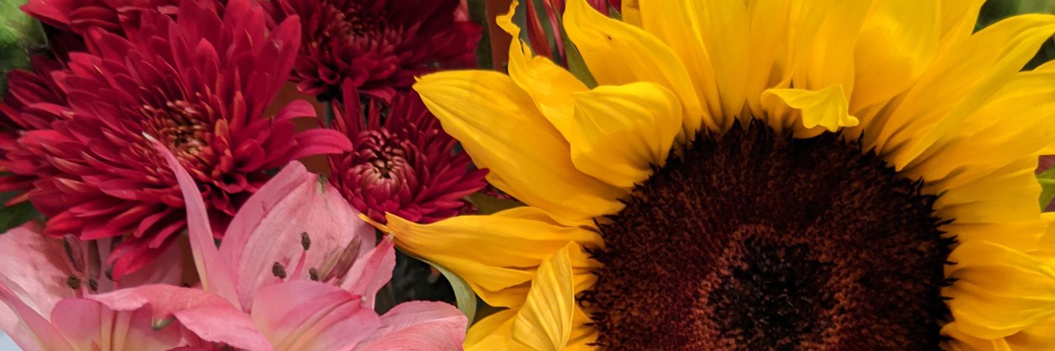abby_fox's profile banner image