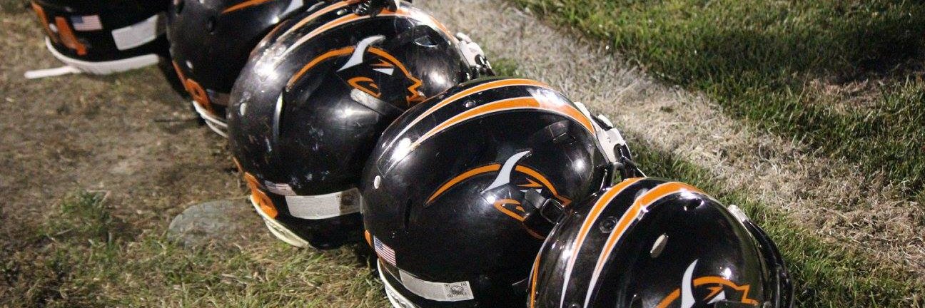 Washington Football banner