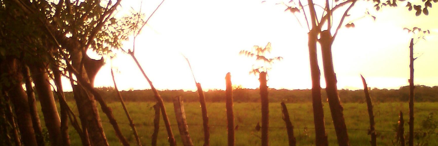 Ivan miranda beitia banner