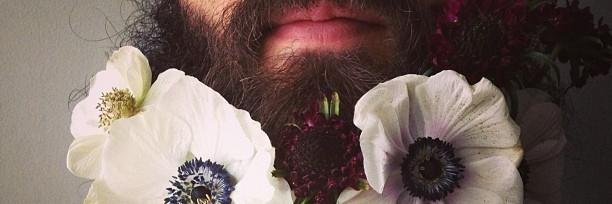 FlowerBeards's profile banner image