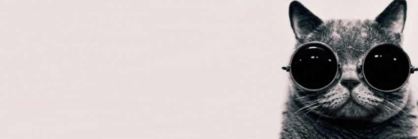 minicoyo08's profile banner image