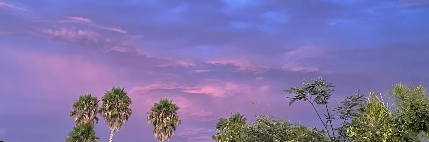 rareslime's profile banner image