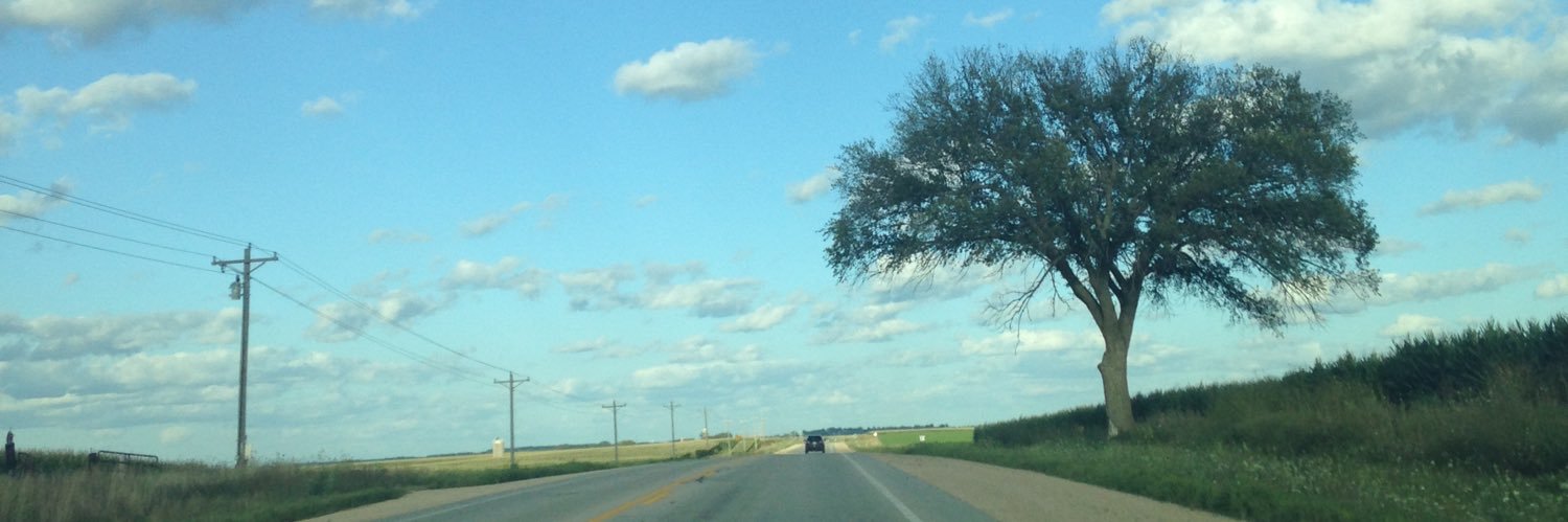 Alyssa Cheadle, PhD banner