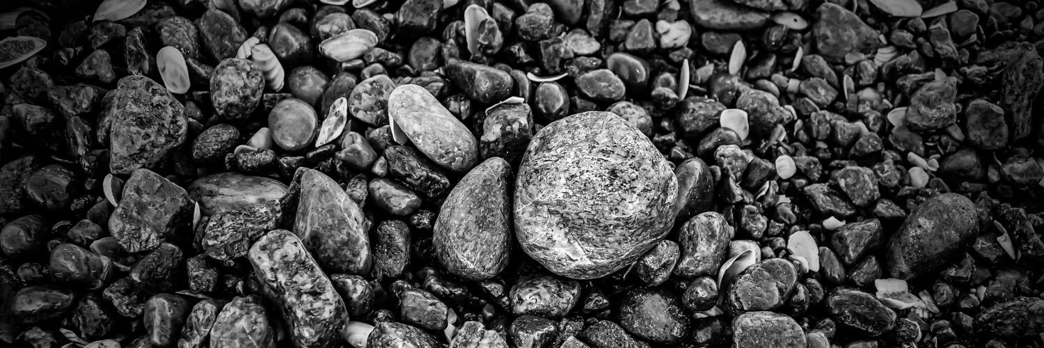 AnnaMMorrison's profile banner image