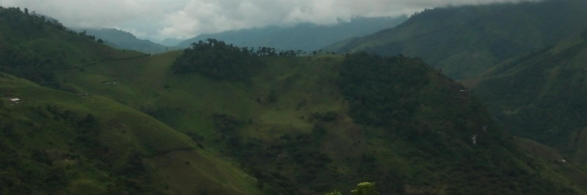 Johana Jiménez banner
